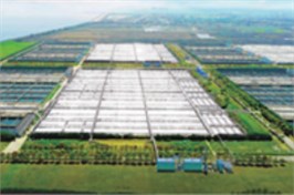 将对污水处理市政设施进行恶臭异味整治！污水厂要怎么做？