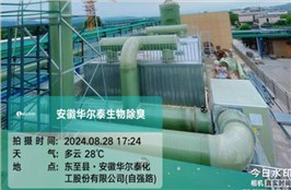 安徽华尔泰化工除臭项目