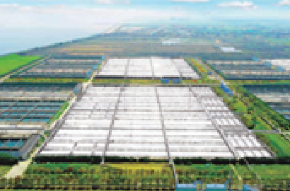 生物环境部：将对污水处理市政设施进行恶臭异味整治！污水厂要怎么做？